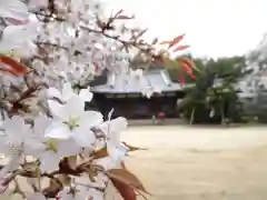 霊芝寺の自然