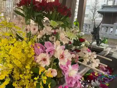 彌彦神社　(伊夜日子神社)の手水舎