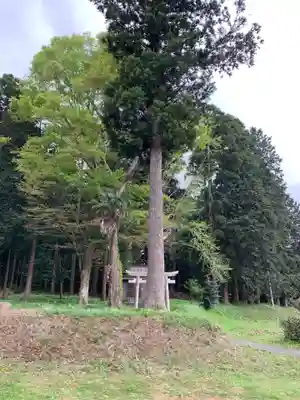 八坂神社(千葉県)
