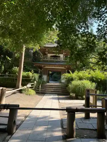 浄智寺(神奈川県)