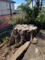 若宮八幡宮(千葉県)