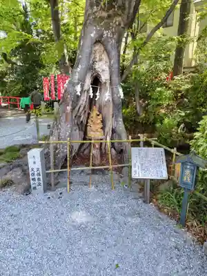 秩父今宮神社(埼玉県)