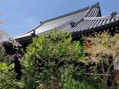 妙慶寺(大阪府)