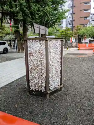 北海道神宮頓宮のおみくじ