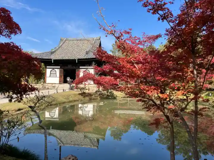高台寺(高台寿聖禅寺・高臺寺)(京都府)