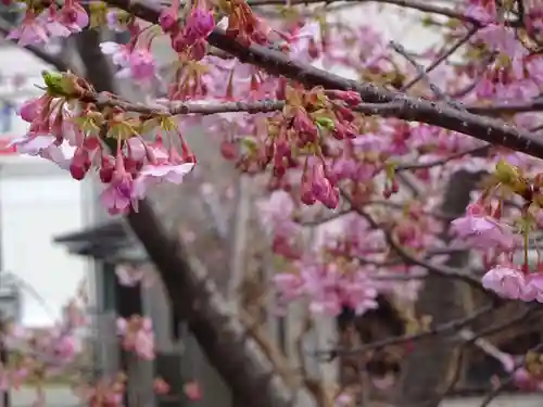 かっぱの寺 栖足寺の自然