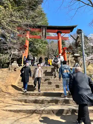 新倉富士浅間神社の鳥居