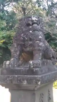 橘神社の狛犬
