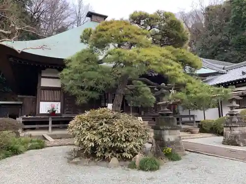 等覚院の庭園