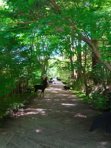 国宝　長寿寺(滋賀県)