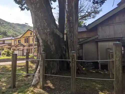 旗挙八幡宮(長野県)