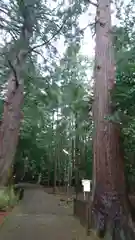 若狭彦神社（上社）の建物その他