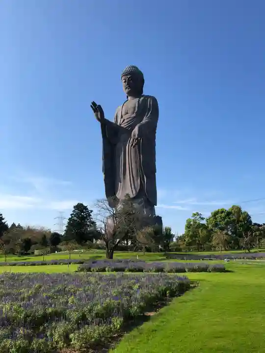 東本願寺本廟 牛久浄苑(牛久大仏)の仏像