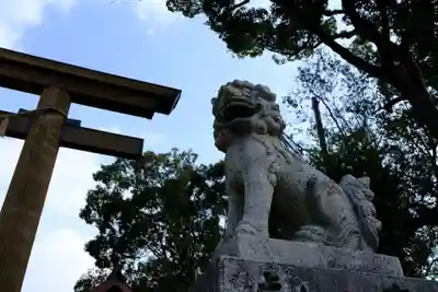 和泉國一之宮　大鳥大社の狛犬