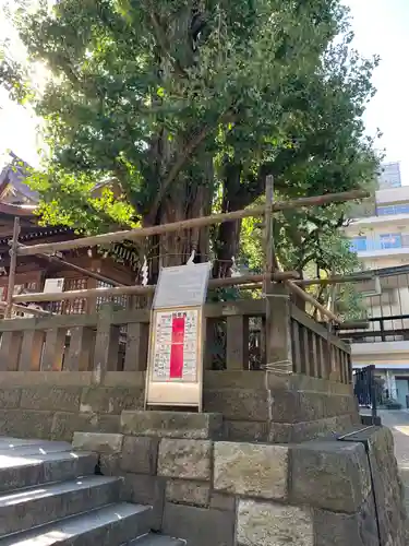 大鳥神社の自然