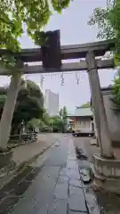 白鬚神社の鳥居