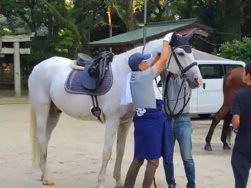 筥崎宮(福岡県)
