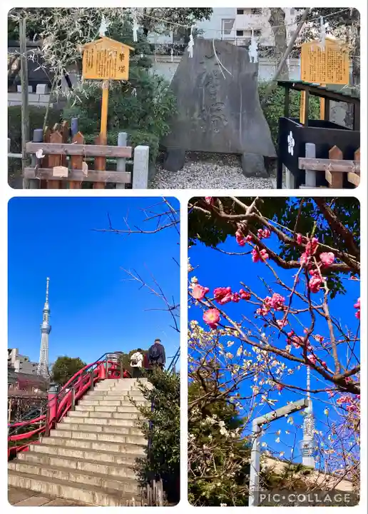 亀戸天神社(東京都)