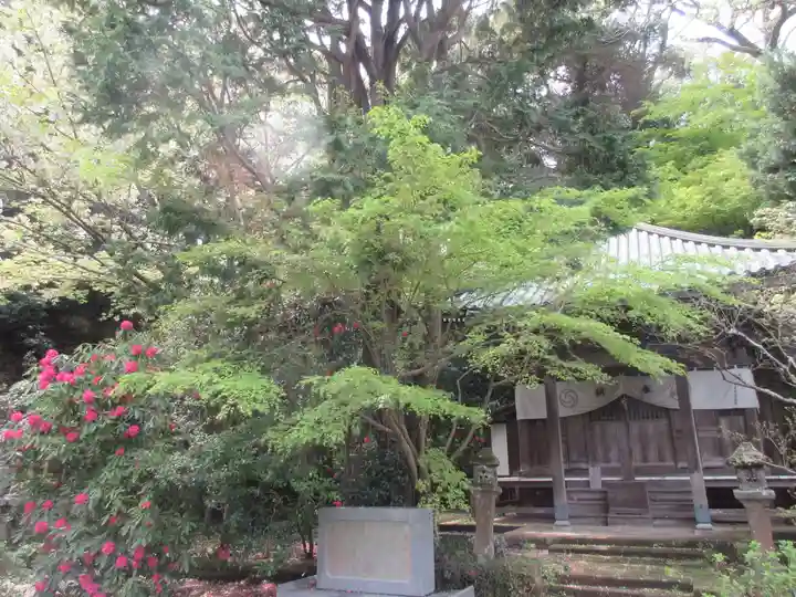 安國論寺(安国論寺)の自然