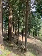 嶽山箒根神社奥の院の周辺