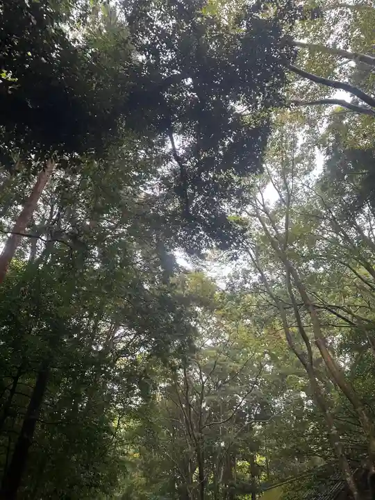伊勢神宮内宮(皇大神宮)(三重県)