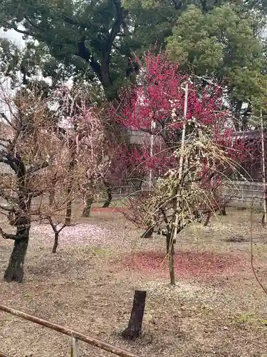 渋川神社(大阪府)