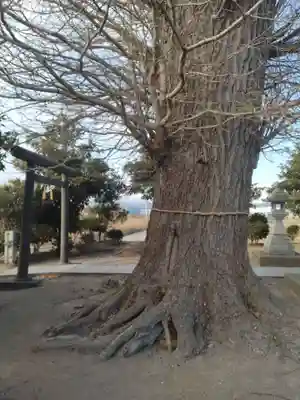 神明社(宮城県)