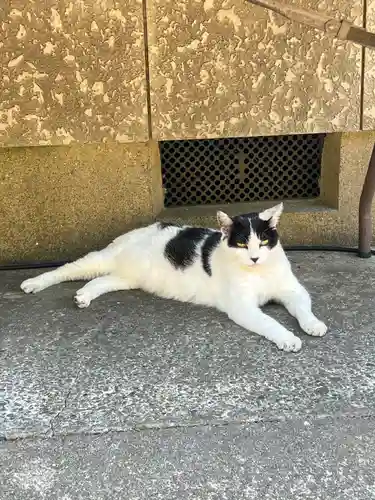 鎌数伊勢大神宮(千葉県)