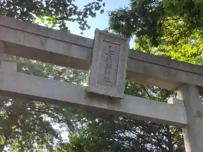 乙女稲荷神社の鳥居