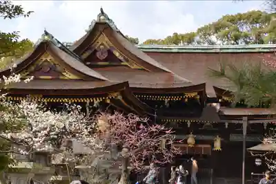 北野天満宮(京都府)