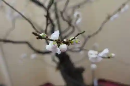 菅原天満宮（菅原神社）のその他建物