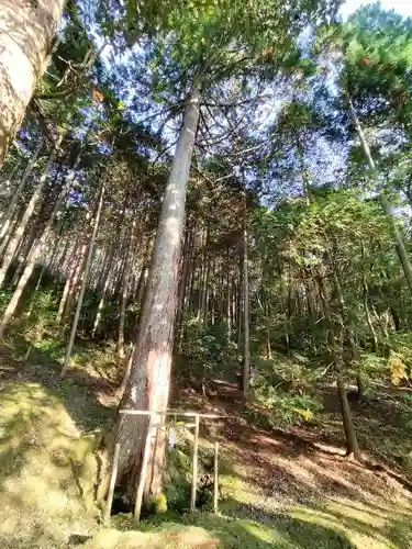 質美八幡宮(京都府)