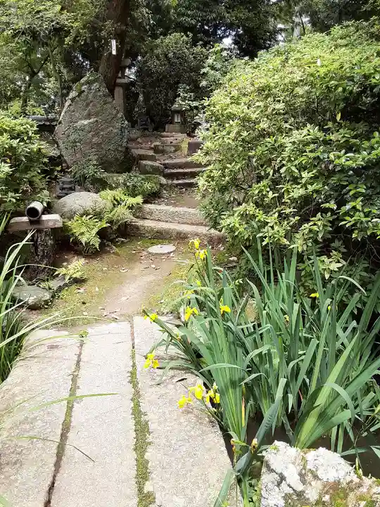 住吉神社の自然