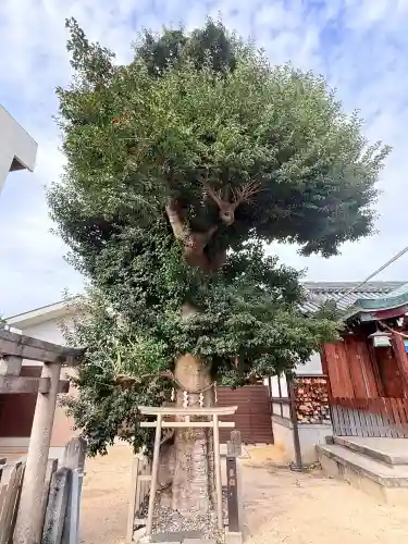 田島神社(大阪府)