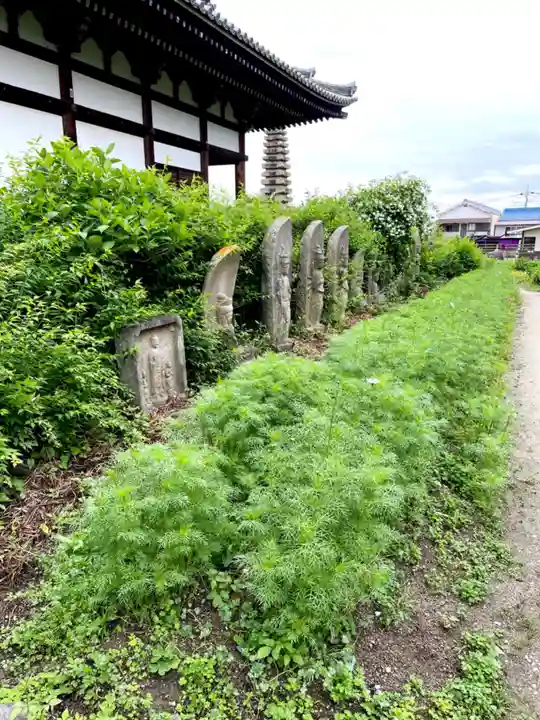 般若寺 ❁コスモス寺❁(奈良県)
