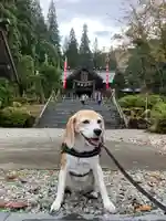 八海山尊神社の動物