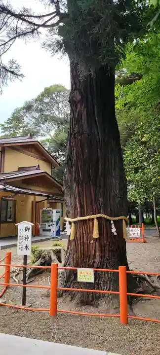 息栖神社(茨城県)