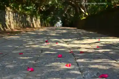 酒列磯前神社(茨城県)