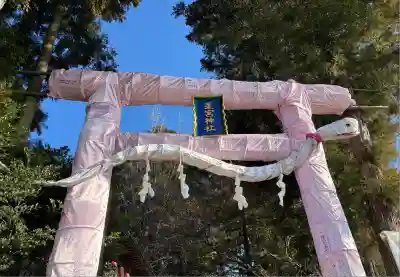 下野 星宮神社(栃木県)