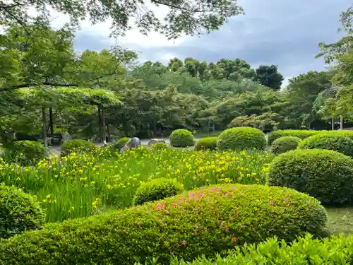 東寺（教王護国寺）(京都府)