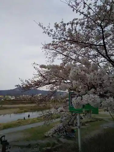 出町妙音堂の自然