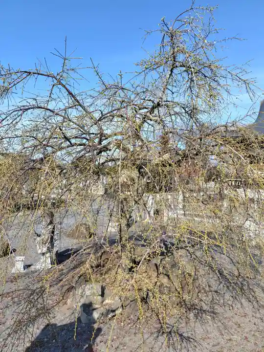 東持寺(茨城県)