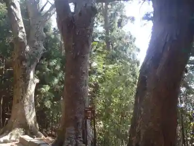 猿投神社 東の宮(愛知県)
