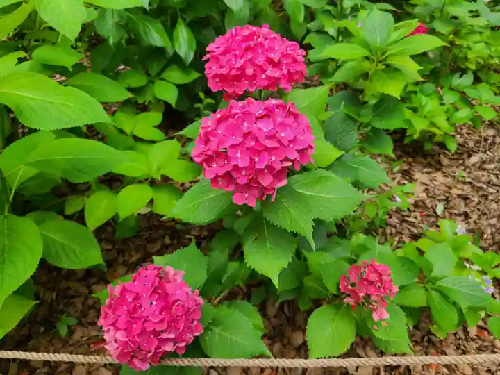 筥崎宮(福岡県)