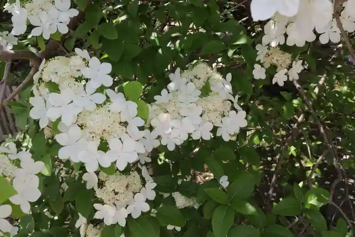唐招提寺(奈良県)