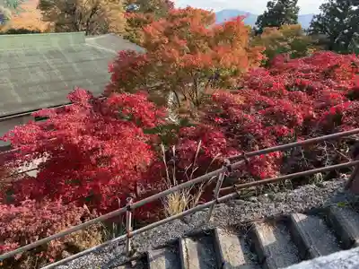 大山阿夫利神社(神奈川県)