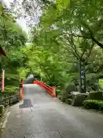今熊野観音寺(京都府)