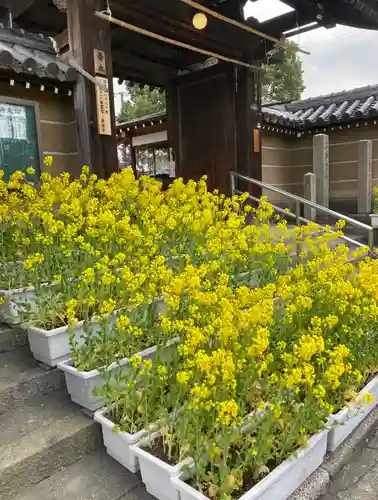 興徳寺(大阪府)