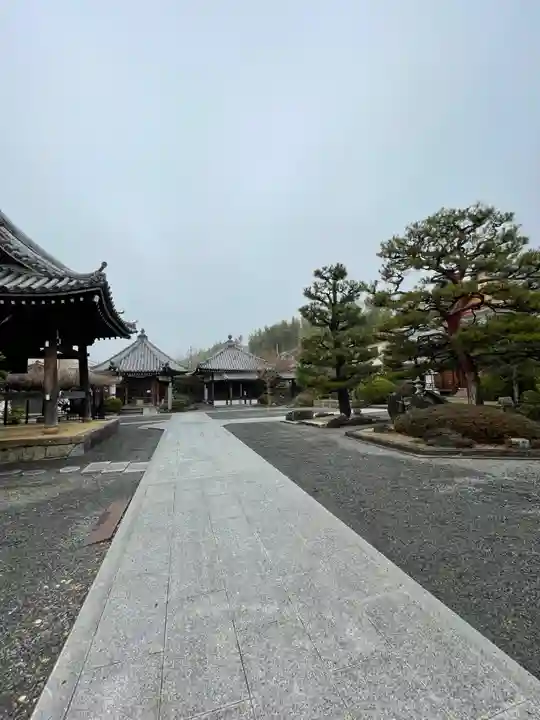 大善寺(京都府)