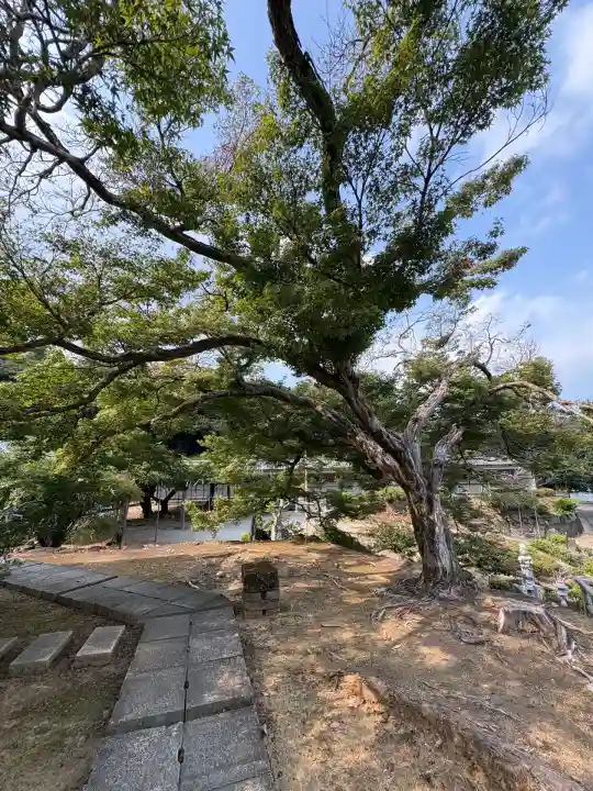 童学寺(徳島県)